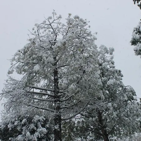 Il Giardino Dei Limoni 3*