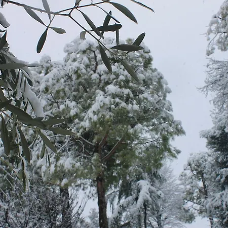 Gasthuis Il Giardino Dei Limoni 4*