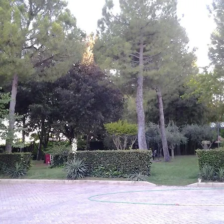 Il Giardino Dei Limoni Montecassiano